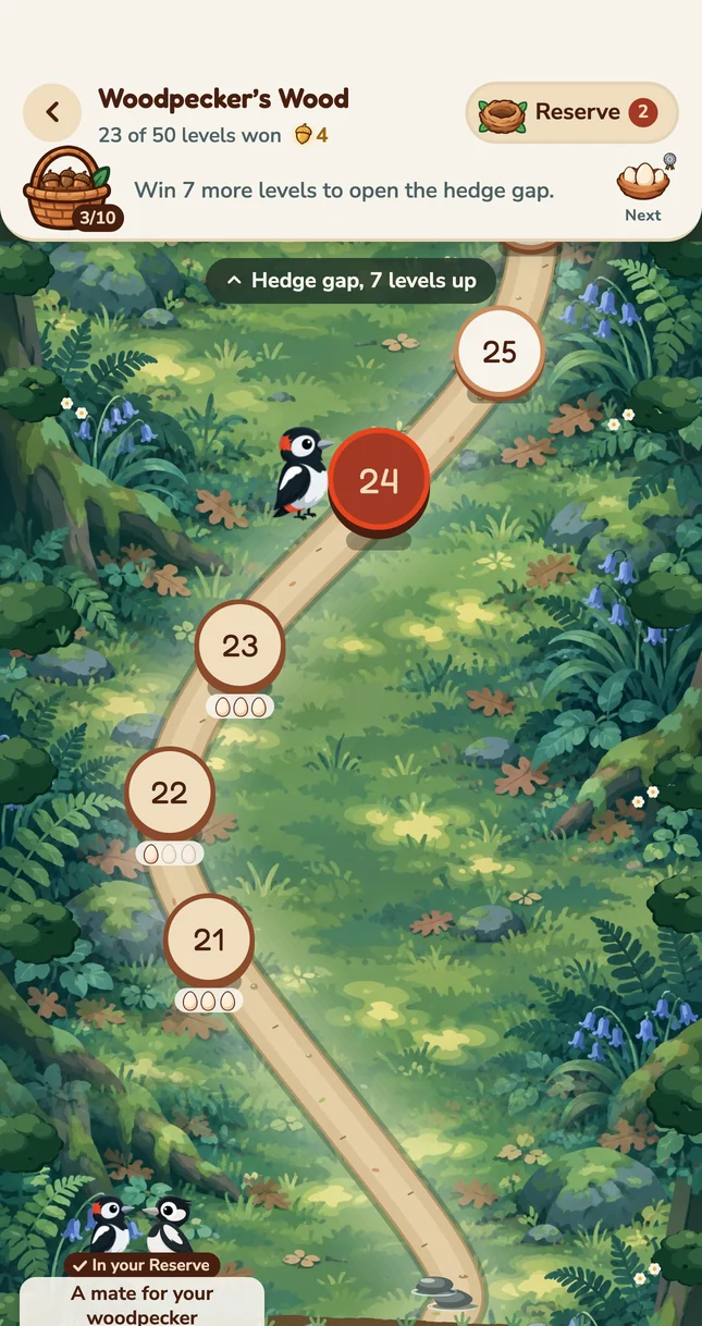 The woodpecker’s trail of levels through a wood in Nyth